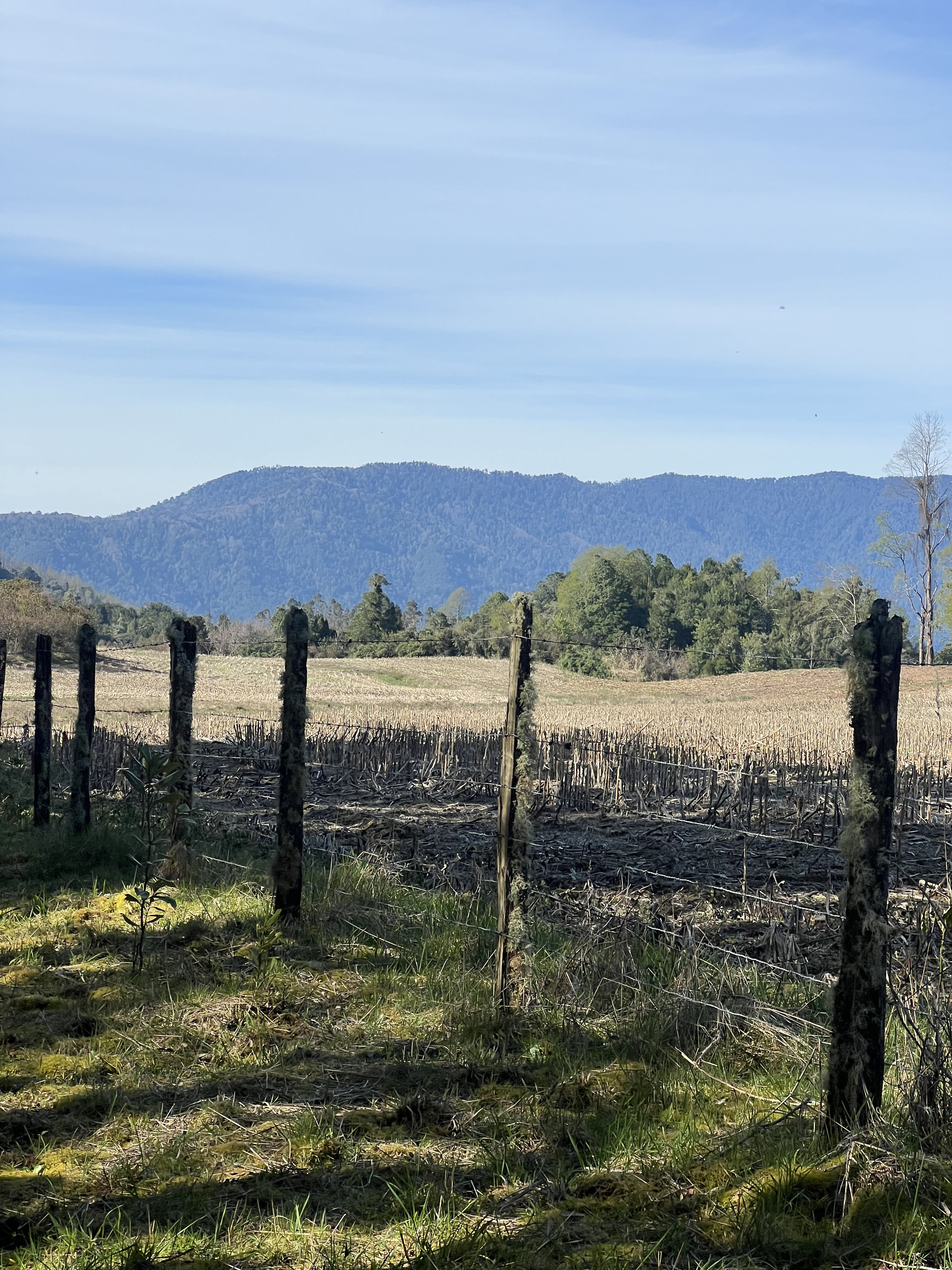 Horizonte urbano iluminado por la noche