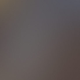 Colaborador trabajando en un proyecto